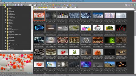 FastStone Image Viewer 5.3